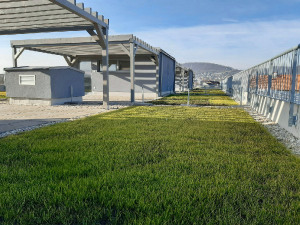 Berounka_20201123_00004