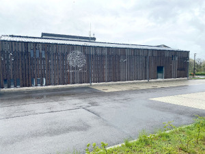 Tilia_II_20210514_8022